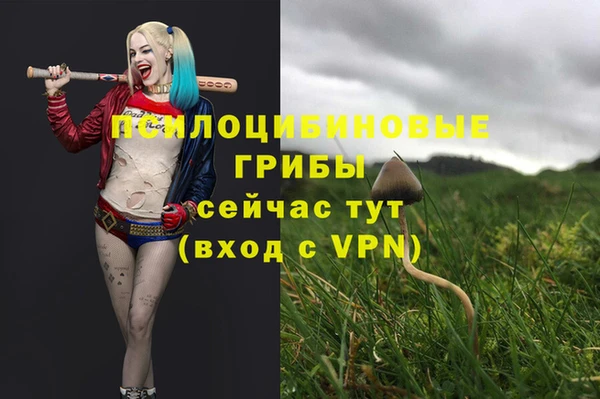 spice Алексин