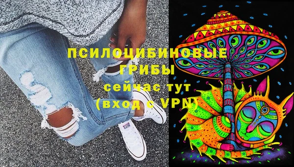 spice Алексин