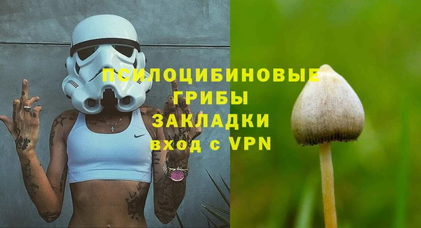 spice Алексин