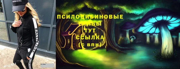 spice Алексин