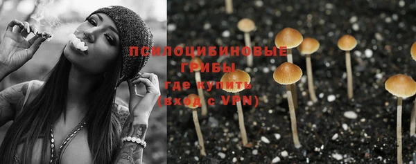 spice Алексин